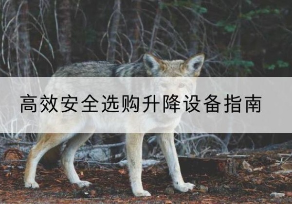 保靖升降货梯厂家推荐-*安全选购升降设备指南