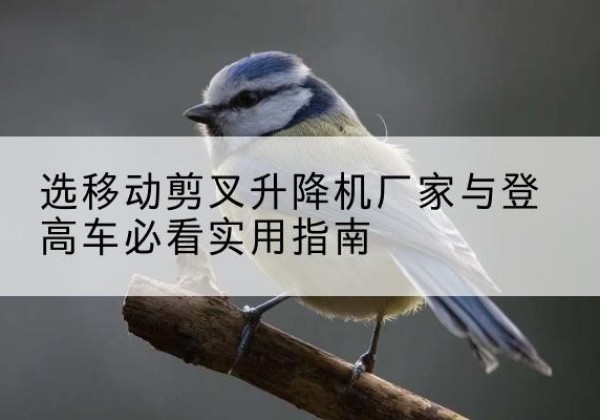 保靖电动升降机厂家-选移动剪叉升降机厂家与登高车必看实用指南
